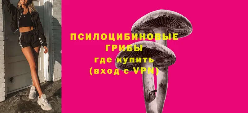 даркнет сайт  Аткарск  Псилоцибиновые грибы MAGIC MUSHROOMS 